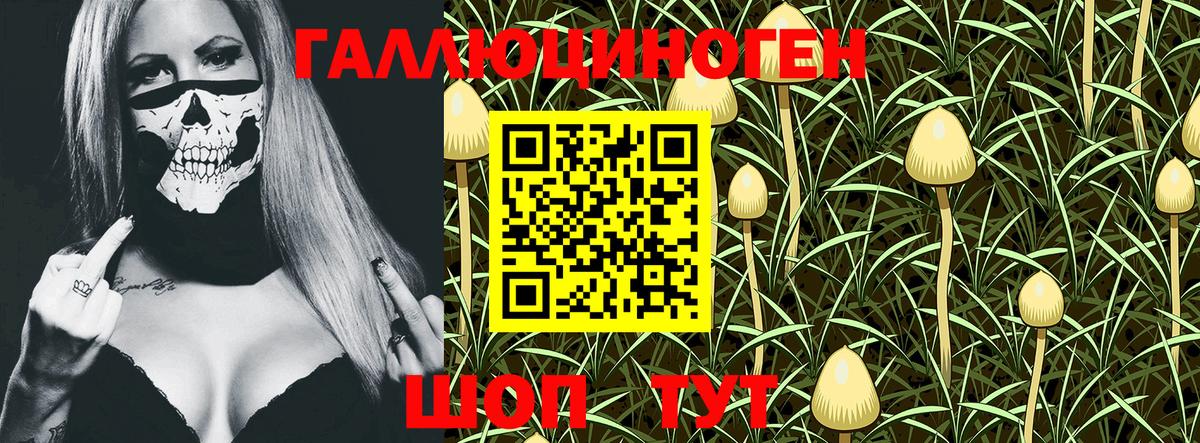 Псилоцибиновые грибы GOLDEN TEACHER  Вход с VPN  цена   Лесной 
